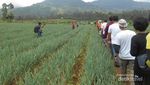 7 Kegiatan Seru Saat Akhir Pekan di Sekitar Hulu Sungai Citarum