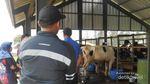 7 Kegiatan Seru Saat Akhir Pekan di Sekitar Hulu Sungai Citarum