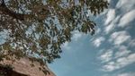 7 Keindahan Nusa Penida