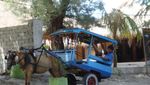 8 Alasan Mengapa Anda Harus ke Gili Trawangan