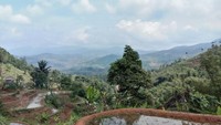 Terlihat kawasan Taman Nasional Gunung Halimun Salak nan jauh di sana