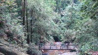 Suasana perbukitan di air terjun Guruh Gemurai (sumber: gustiandri.blogspot.com)