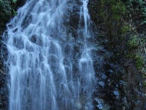 Aceh Punya Air Terjun Cantik di Pinggir Jalan