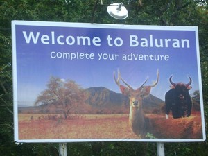 Ada Afrika di Ujung Timur Jawa