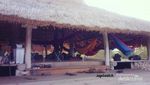 Ada Apa di Pulau Sumba?