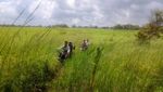 Ada Batu Karang Bolong, Pantai Bwanna di Sumba Seindah Nirwana