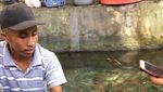 Ada Belut Keramat Raksasa di Ambon