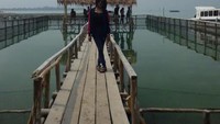 Ada penangkaran penyunya juga lho