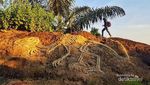 Ada Fosil Dinosaurus di Gunungkidul!