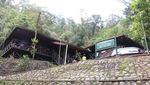 Ada Jamur yang Bisa Menyala di Gunung Halimun