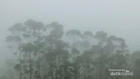 Kabut tebal di Situ Cileunca