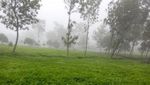 Ada Kebun Teh Seindah Ini di Kaki Gunung Sindoro