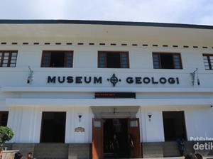 Ada Kerangka Tyrannosaurus Rex di Bandung!