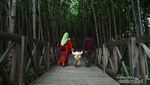 Ada Laboratorium alam di Sulsel, Hutan Mangrove Tongke-tongke