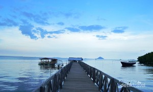 Ada Laboratorium alam di Sulsel, Hutan Mangrove Tongke-tongke