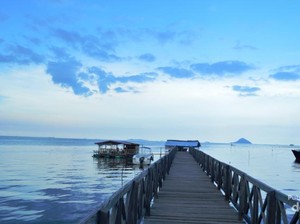 Ada Laboratorium alam di Sulsel, Hutan Mangrove Tongke-tongke