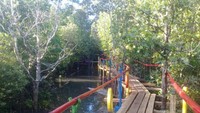 Jalan di kawasan mangrove Donggala