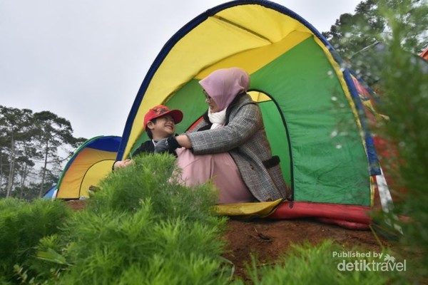 Camping bersama keluarga di Negeri Khayangan