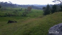 Pemandangan sekitar taman