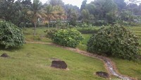 Area Taman Semar