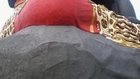 Patung Semar dari samping