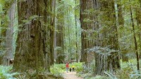 Tidak jarang dari wisatawan yang datang menghabiskan hari dengan berkeliling di taman raksasa ini (sunnyfortuna.com)
