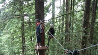 Ayo, siapa yang berani mecoba flying fox setinggi ini? (redwoodadventures.com)
