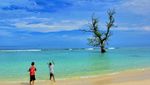 Ada Pohon Tumbuh di Laut Aceh