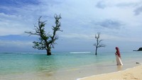 Hamparan pasir putih yang indah