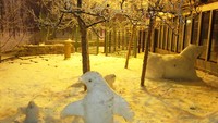 Pinguin yang terbuat dari Salju