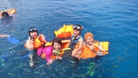 Bermain bersama ikan