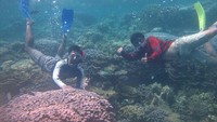 Bawah laut yang indah!