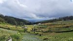 Ada Telaga Cantik di Balik Lereng Gunung Lawu