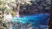 Lihat sendiri betapa biru dan jernihnya telaga ini