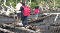 Sebatang kayu jadi jembatan agar turis tidak menginjak lumpur