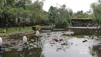 Kolam ikan di Taman Spathodea