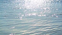 Pesona Elok Pantai Tanjung Lesung