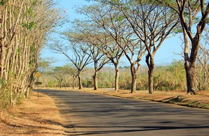 Afrika ala Banten di Tanjung Lesung