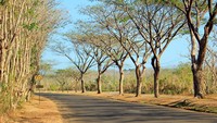 Jalan Masuk Kawasan Wisata Tanjung Lesung
