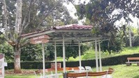 Taman kecil yang cantik