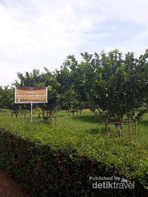Agrowisata di Bawen, Ini Tempatnya