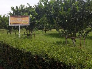 Agrowisata di Bawen, Ini Tempatnya