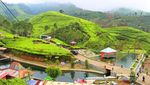 Agrowisata Kaligua di Jawa Tengah, Cantik Namun Tersembunyi