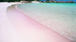 Aiih! Ada Pantai Pasir Pink di Pulau Komodo