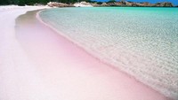 Pantai Pink di Pulau Komodo (Sumber: sofluna.com)