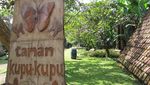 Aiih! Asyiknya Bermain di Taman Bersama Kupu-kupu