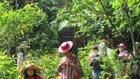 Pengunjung menikmati taman kupu-kupu (Fitraya/detikTravel)