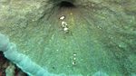 Aiiih! Lucunya Ubur-ubur Tanpa Sengat di Danau Kakaban