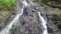 Sumber mata air panas yang keluar dari dalam akar pohon