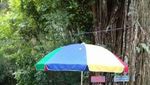 Air Panas Pingit, Sensasi Kesegaran di Banjarnegara
